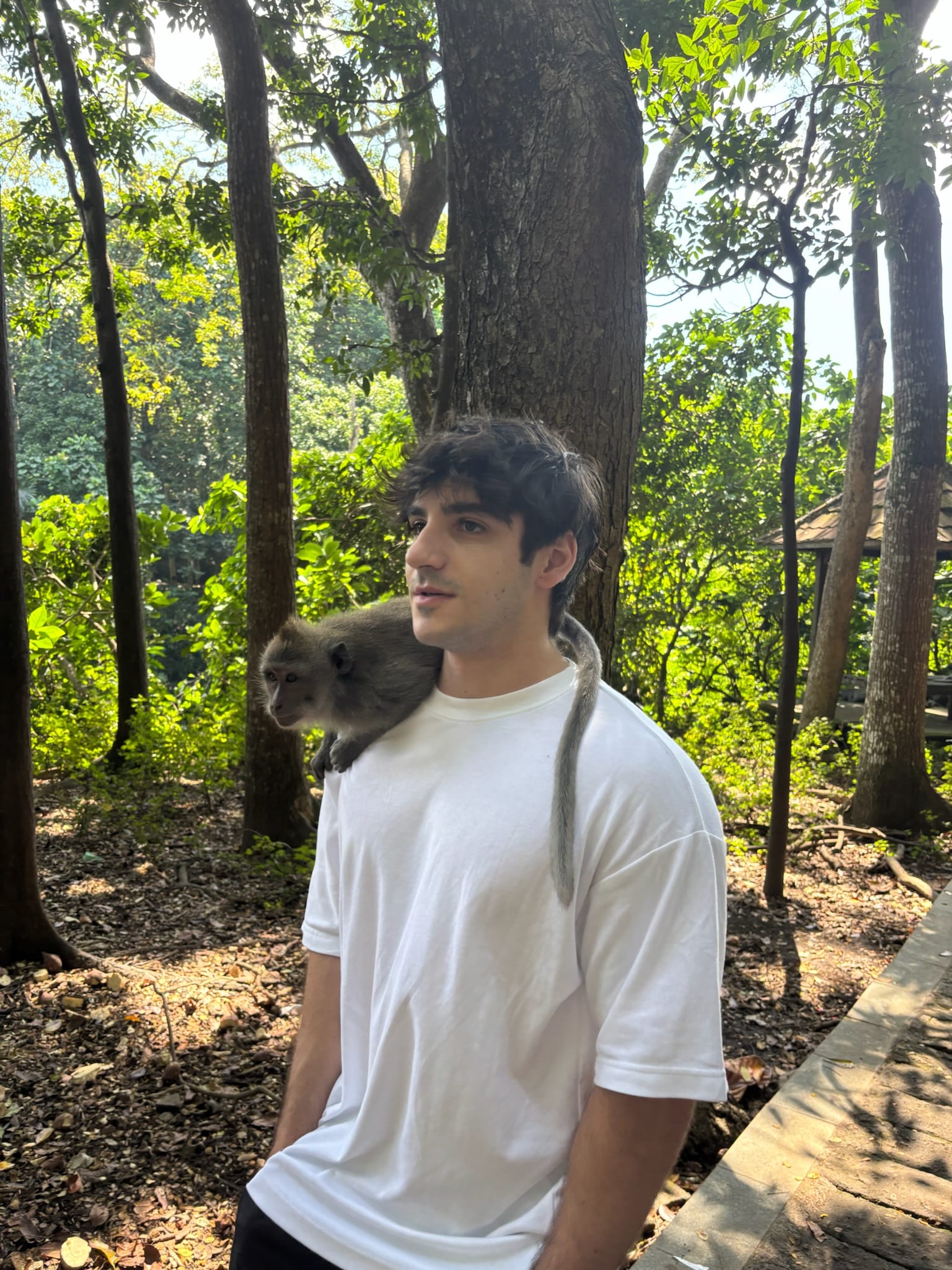 A monkey perched on my shoulder in the forest